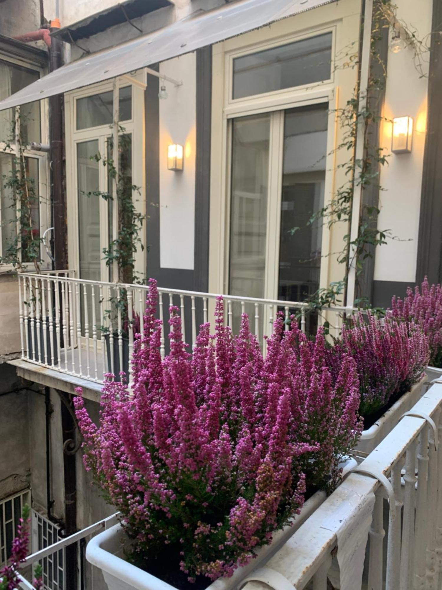Casa Orlanda Apartment เนเปิลส์ ภายนอก รูปภาพ